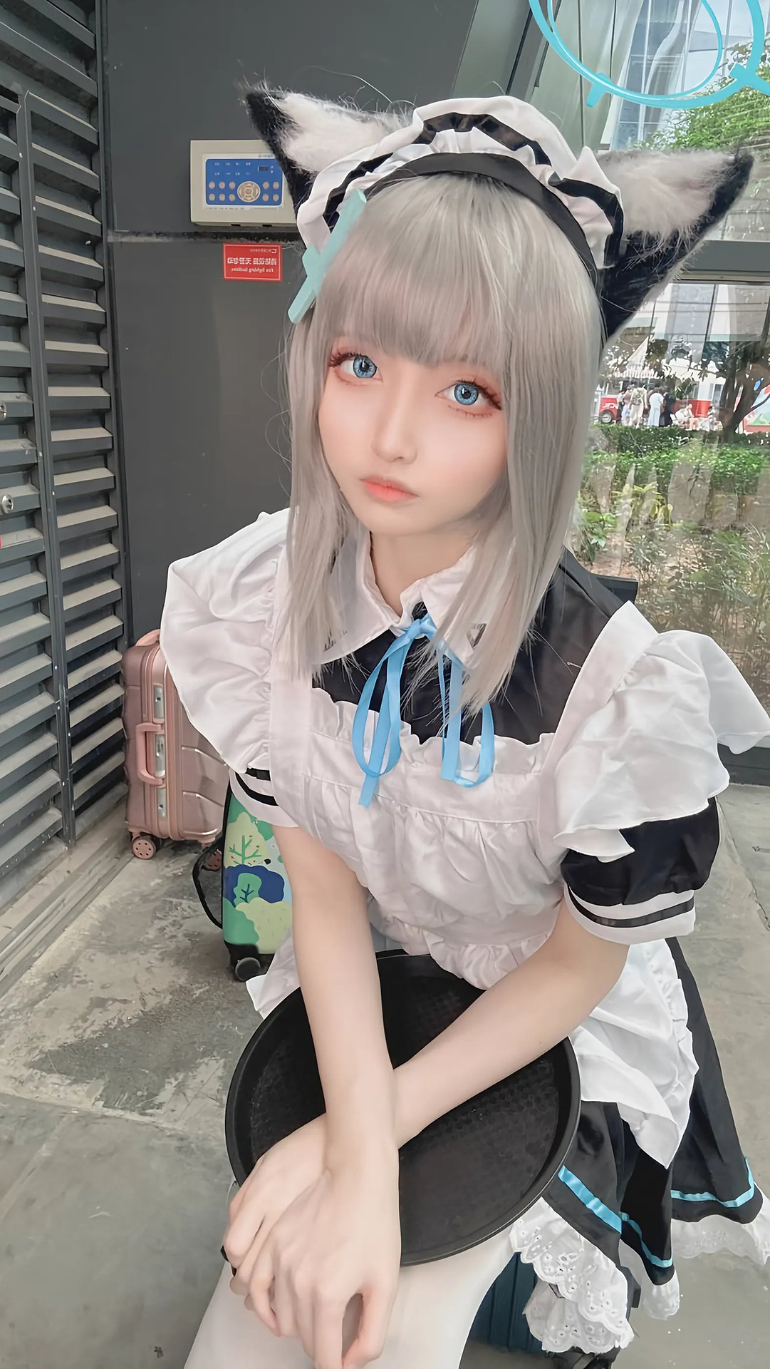 【单套】山崎怜Rei：蔚蓝档案砂狼白子【61张】  第4张